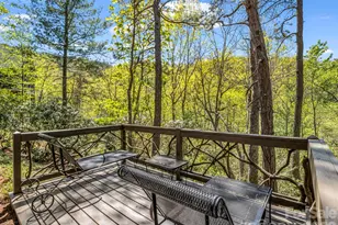 16 Panther Gap Rd, Black Mountain, NC 28711 - Photo 42