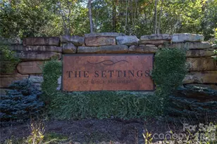 16 Panther Gap Rd, Black Mountain, NC 28711 - Photo 48