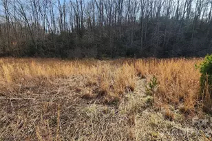 3490 US 70 Hwy E, Marion, NC 28752 - Photo 26