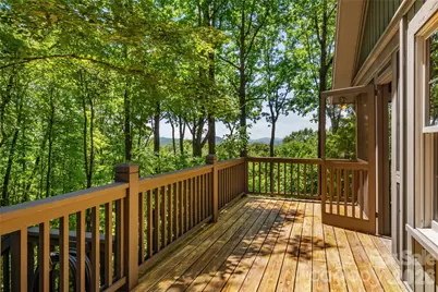 287 Dvdisdi Court, Brevard, NC 28712 - Photo 36