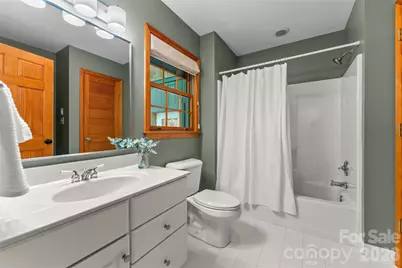 287 Dvdisdi Court, Brevard, NC 28712 - Photo 22