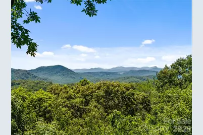 287 Dvdisdi Court, Brevard, NC 28712 - Photo 38