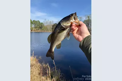 300 McCall Road, Ellerbe, NC 28338 - Photo 22