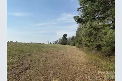 300 McCall Road, Ellerbe, NC 28338 - Photo 30