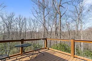 935 Big Branch Rd, Brevard, NC 28712 - Photo 2