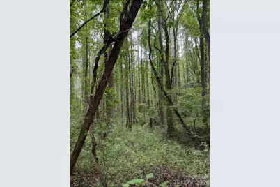 132 Hurd Road, Canton, NC 28716 - Photo 24