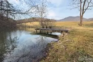 132 Hurd Rd, Canton, NC 28716 - Photo 2