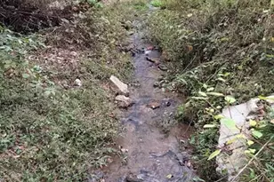 132 Hurd Rd, Canton, NC 28716 - Photo 22