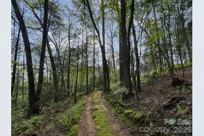 3903 Island Ford Road, Brevard, NC 28712 - Photo 36