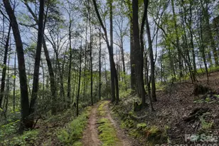 3903 Island Ford Rd, Brevard, NC 28712 - Photo 36