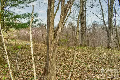 252 Pinewood Circle, Hendersonville, NC 28739 - Photo 6