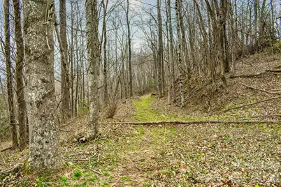 252 Pinewood Circle, Hendersonville, NC 28739 - Photo 2