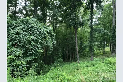 45 Sweet Fern Parkway #43, Asheville, NC 28804 - Photo 2