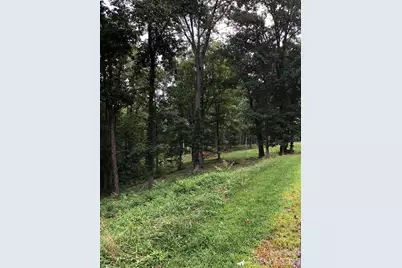45 Sweet Fern Parkway #43, Asheville, NC 28804 - Photo 4