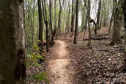 2673 Creekview Drive, Waxhaw, NC 28173 - Photo 40