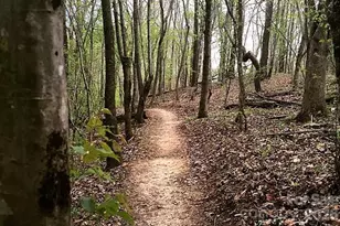 2673 Creekview Dr, Waxhaw, NC 28173 - Photo 40