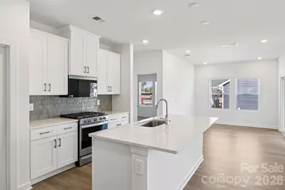 690 Danya Drive, York, SC 29745 - Photo 4