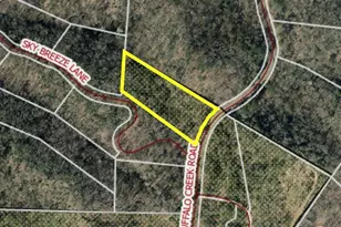 0 Buffalo Creek Rd, Lake Lure, NC 28746 - Photo 1