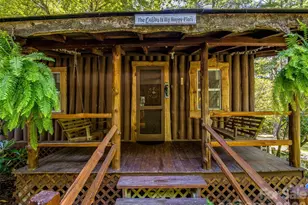 685 Shumont Rd, Black Mountain, NC 28711 - Photo 14