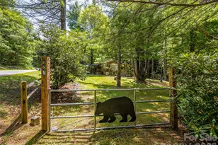 685 Shumont Rd, Black Mountain, NC 28711 - Photo 2