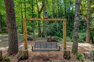 685 Shumont Rd, Black Mountain, NC 28711 - Photo 12