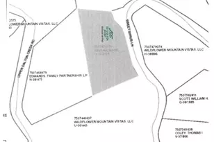 0 Sweet Shrub Ln, Franklin, NC 28734 - Photo 1