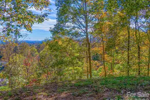 17 Denali Dr, Asheville, NC 28806 - Photo 18