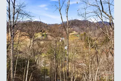 98 Harmony Hill Lane, Mars Hill, NC 28754 - Photo 48