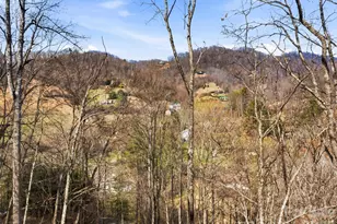 98 Harmony Hl Ln, Mars Hill, NC 28754 - Photo 48