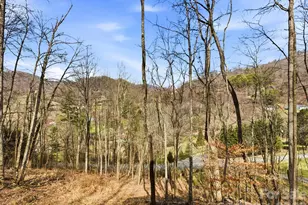 98 Harmony Hl Ln, Mars Hill, NC 28754 - Photo 42