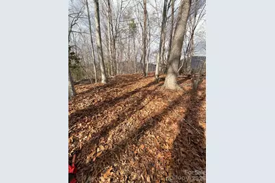 00000 Worley Cove Road, Canton, NC 28716 - Photo 2