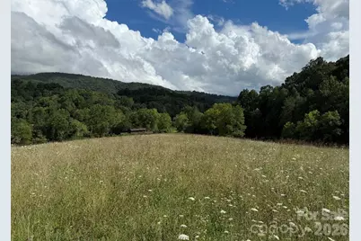 00000 Worley Cove Road, Canton, NC 28716 - Photo 8