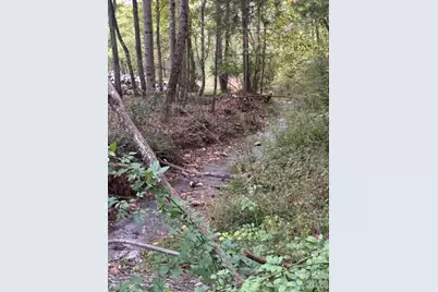 00000 Worley Cove Road, Canton, NC 28716 - Photo 10