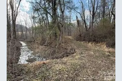 00000 Worley Cove Road, Canton, NC 28716 - Photo 6