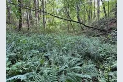 00000 Worley Cove Road, Canton, NC 28716 - Photo 12