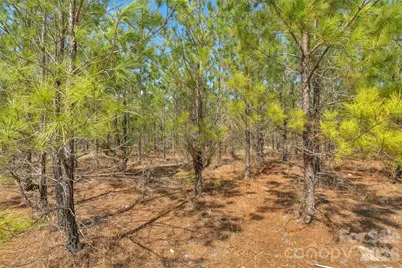 931 Charlie Johnson Road #9, Kershaw, SC 29067 - Photo 8