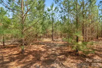 931 Charlie Johnson Road #9, Kershaw, SC 29067 - Photo 32