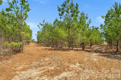 931 Charlie Johnson Road #9, Kershaw, SC 29067 - Photo 20