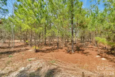 931 Charlie Johnson Road #9, Kershaw, SC 29067 - Photo 18