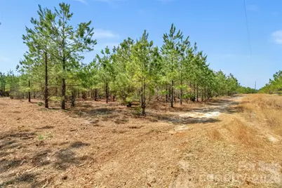 931 Charlie Johnson Road #9, Kershaw, SC 29067 - Photo 10