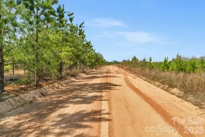 931 Charlie Johnson Road #9, Kershaw, SC 29067 - Photo 4