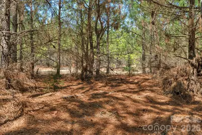 931 Charlie Johnson Road #9, Kershaw, SC 29067 - Photo 22