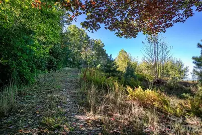 Tbd Rock Face Road #L299, Brevard, NC 28712 - Photo 6