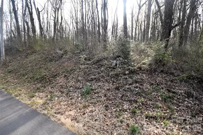 0000 S Main Street, Waynesville, NC 28786 - Photo 6