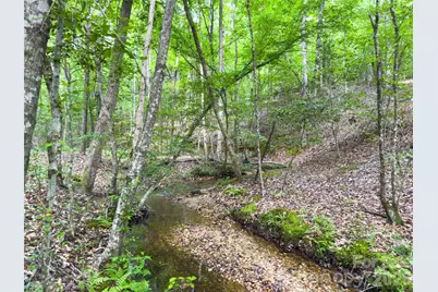 0 Old Charlotte Highway, Rockingham, NC 28379 - Photo 1