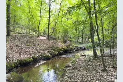 0 Old Charlotte Highway, Rockingham, NC 28379 - Photo 2