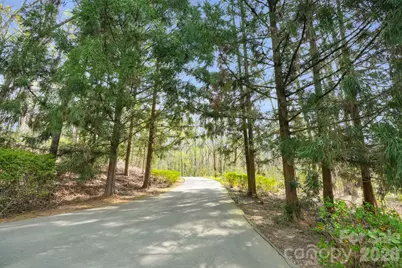 312 Old Hickory Court, Fort Mill, SC 29715 - Photo 4