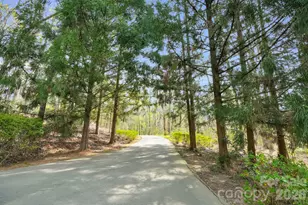 312 Old Hickory Ct, Fort Mill, SC 29715 - Photo 4