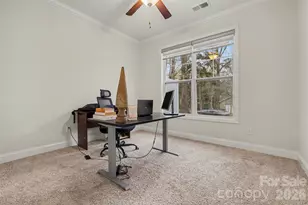 4293 Plumeria Way, Fort Mill, SC 29707 - Photo 22