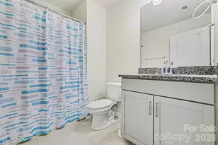 4293 Plumeria Way, Fort Mill, SC 29707 - Photo 14